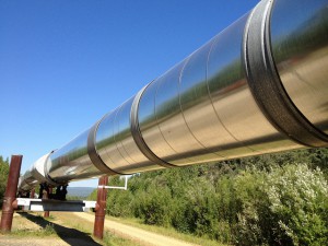 pipeline development